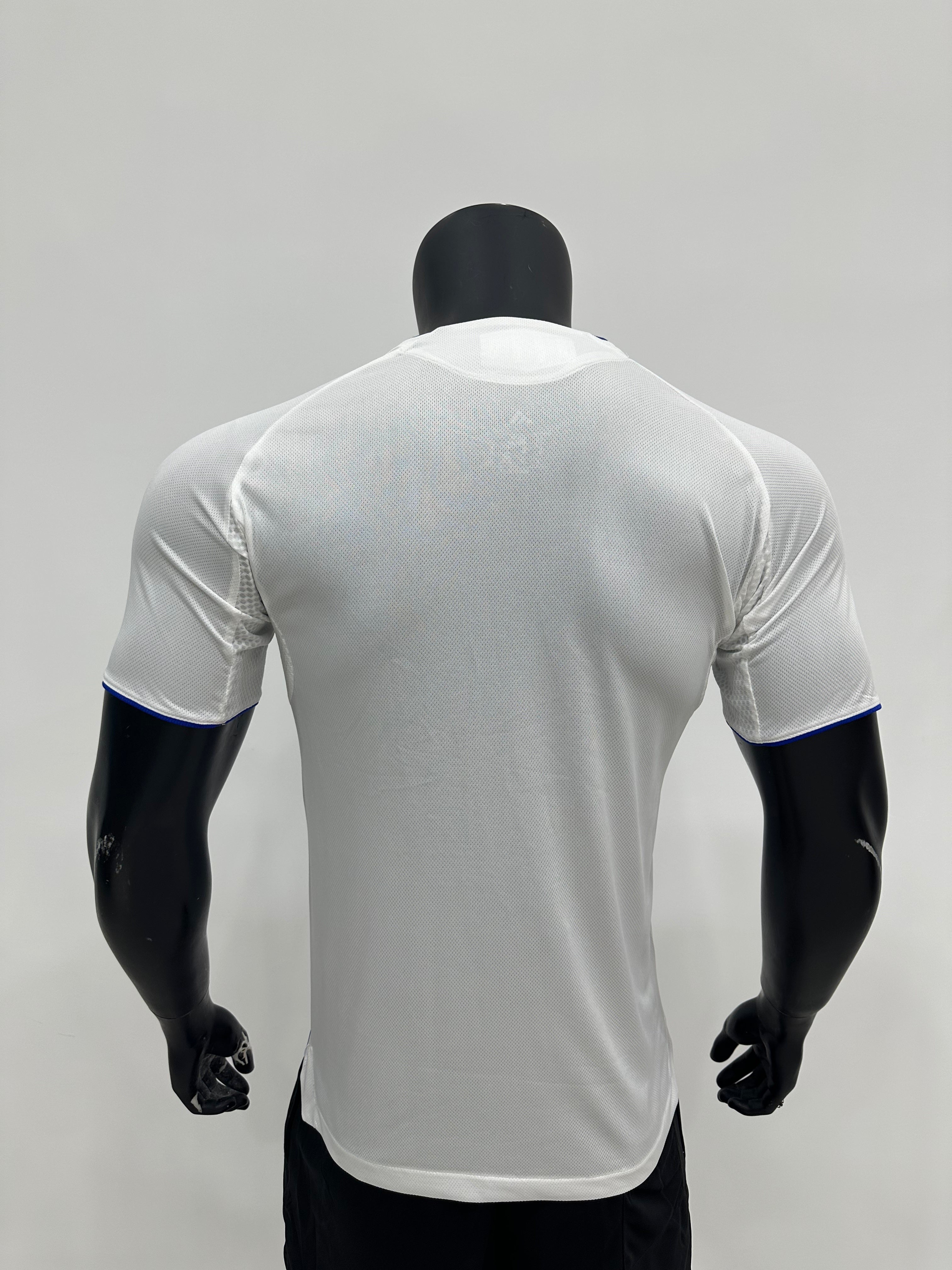 25/26 Lyon Home Kit