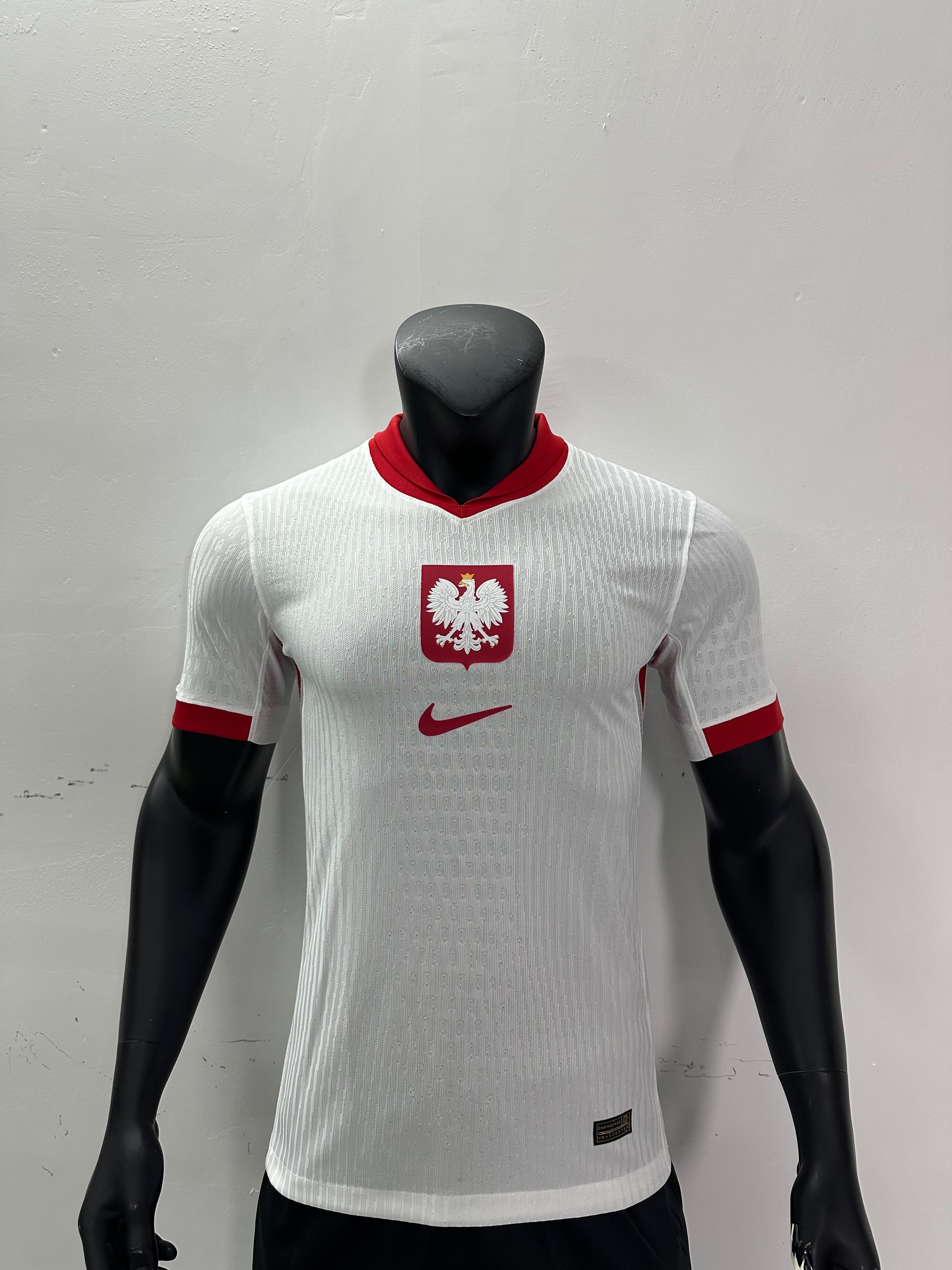 2024 Poland Home Kit